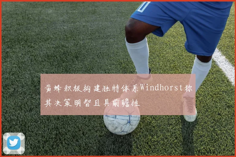 黄蜂积极构建独特体系Windhorst称其决策明智且具前瞻性